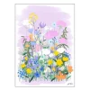 Anna Thomsen poster 50x70 cm field of flowers no2