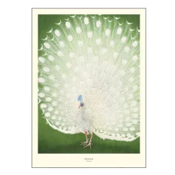 A.P. Atelier poster 30x40 cm peacock