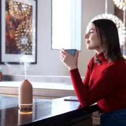 Aroma steindiffuser terrakotta