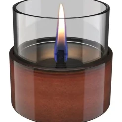 Aster lys 10 0,15L amber