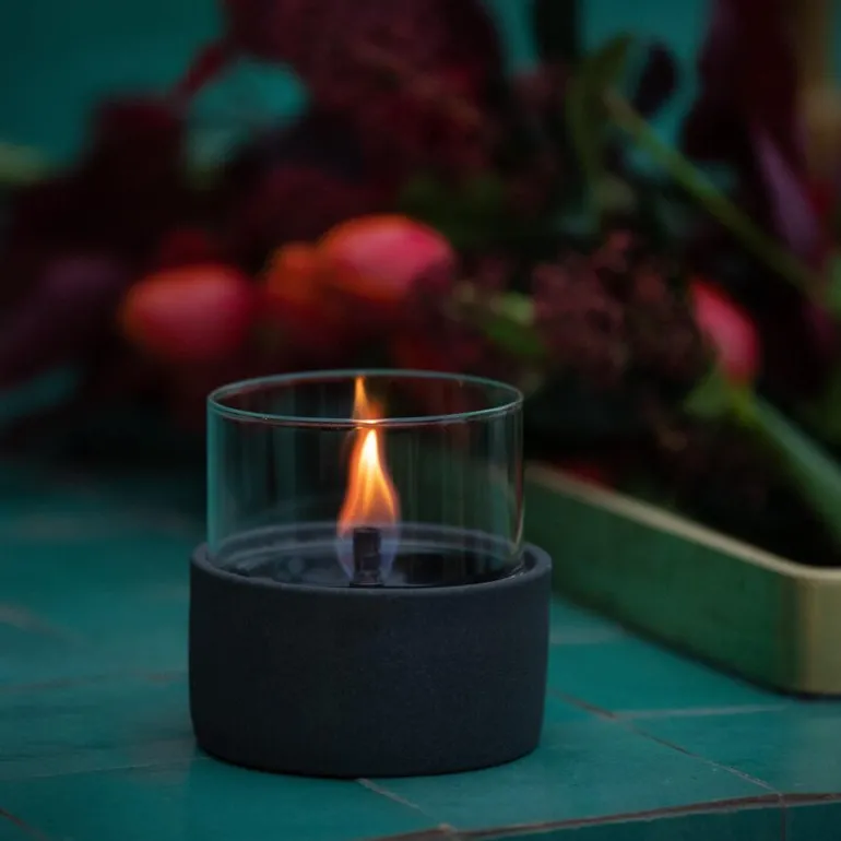 Aster lys 10 0,15L svart