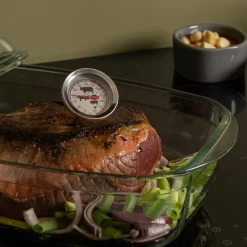 Basis steketermometer