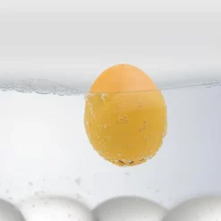 BeepEgg Time Travel eggtimer 60s