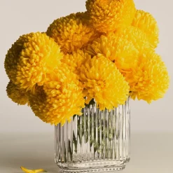 Bernadotte vase oval 21,9 cm glass