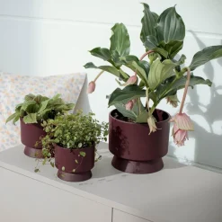 Blomsterpotte Ø15 cm bordeaux