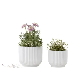 Blomsterpotte liten hvit