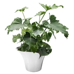 Bloom Botanica blomsterpotte stor 22,3 cm sølv