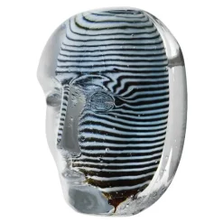 Brains Look BV AC-17