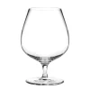Cabernet konjakkglass 63 cl