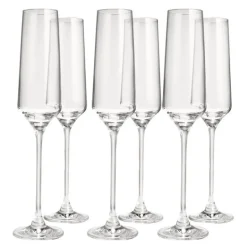Celebration champagneglass 19 cl 6 stk klar