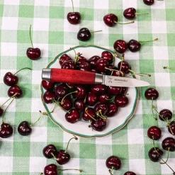 Classic 1891 skal & grønnsakskniv 19 cm rød