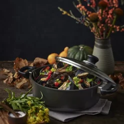 Classic Induction lav gryte m/ lokk 4,8L/26 cm