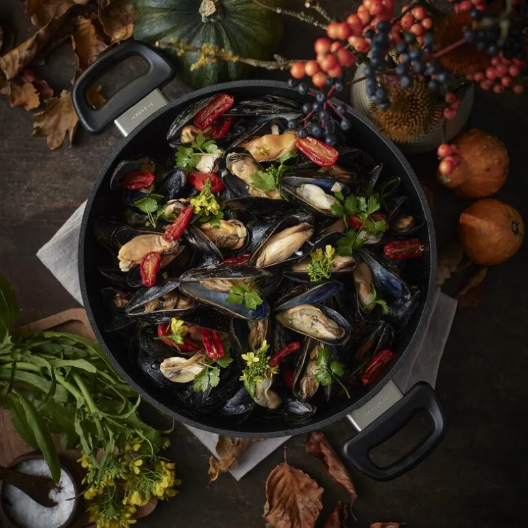 Classic Induction lav gryte m/ lokk 4,8L/26 cm