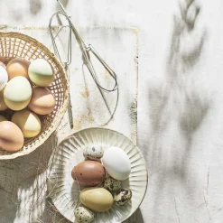 Cordless RHM100E Pro håndmikser sølv