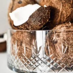 Crispy Mega skål 26x10 cm klar