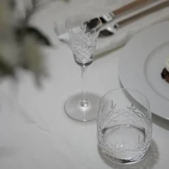 Crispy snapslass 5 cl 2 stk