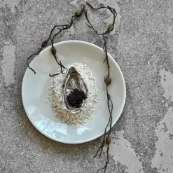 Diva lunsjtallerken 22,5 cm lyseblå