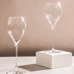 Elegance champagneglass 29 cl 2 stk klar