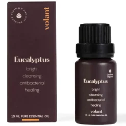 Eterisk olje øko Eucalyptus