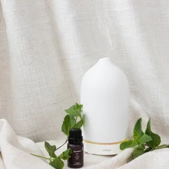 Eterisk olje øko Spearmint