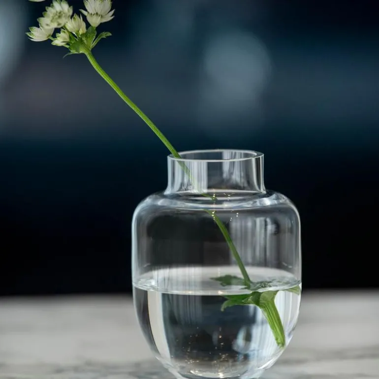 Family vase 11 cm klar