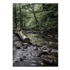 Foto Factory poster 50x70 cm kobbe å