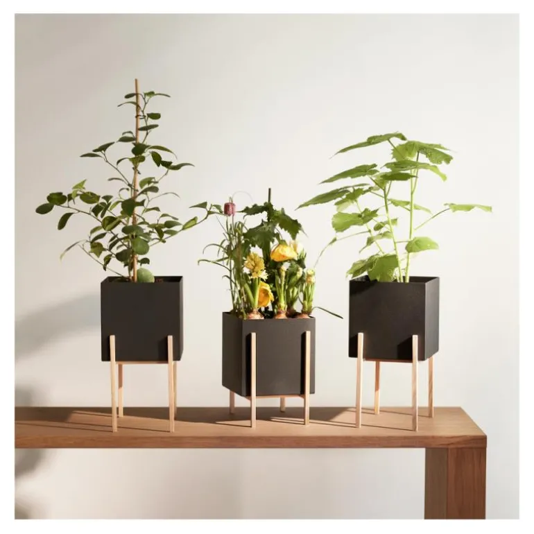 Greenery botanic potte