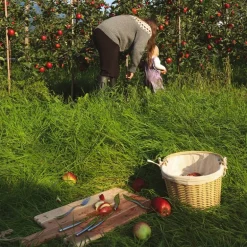 Hardanger fruktkniv 2 stk