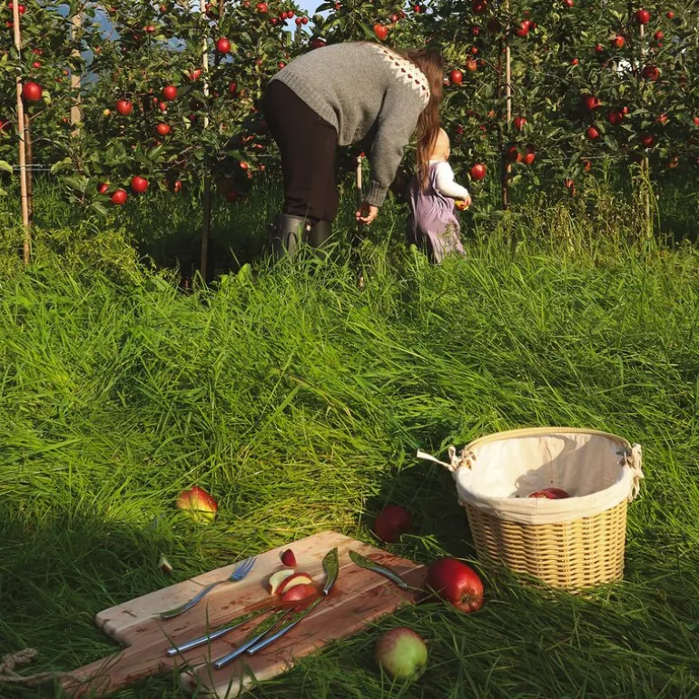 Hardanger fruktkniv 2 stk