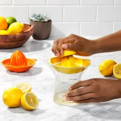 2-i-1 Sitruspresser