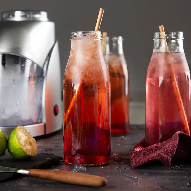 Ice Crusher 282984 isknuser