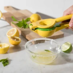 Ikoo skål med lokk 0,5L klar/natur