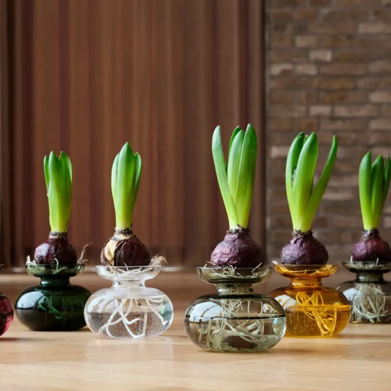 Inu vase 11x9 cm pure clear