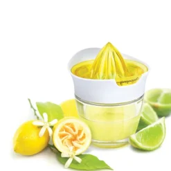 Juicepresse med glassbeholder