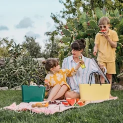 Kjøleveske stor 15L svart