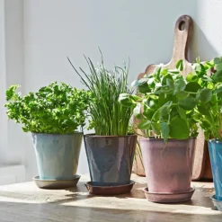 Krukke m/fat H12 cm mint