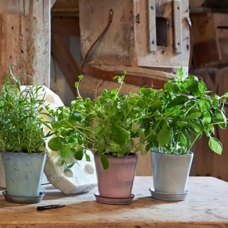 Krukke m/fat H12 cm rosa