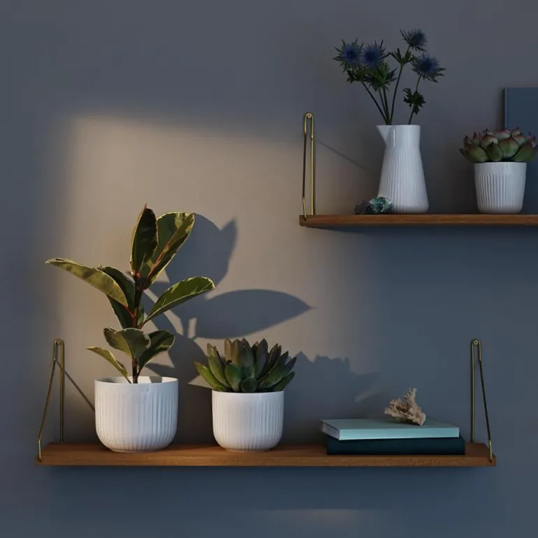 Legio Nova urtepotteskjuler stor