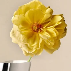 Lituus vase medium 35,3 cm blank