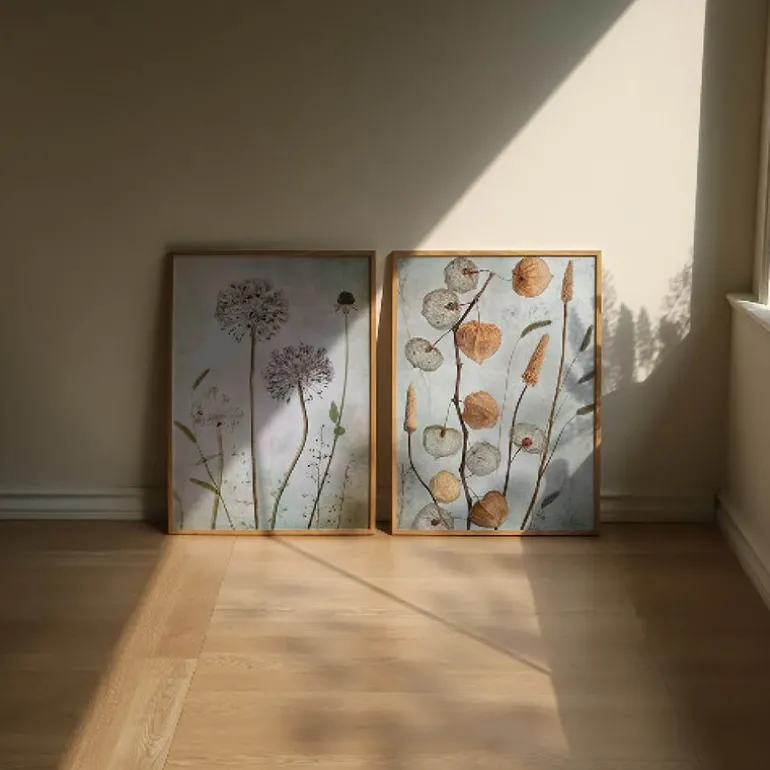 Mandy Disher poster 50x70 cm lanterns