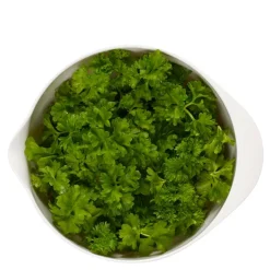 Margrethe bakebolle 0,75L hvit