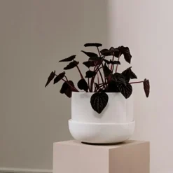 Nappula potteskjuler m/skål 17x13 cm hvit