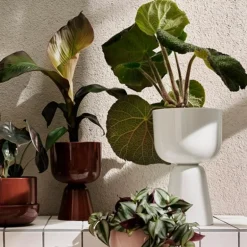 Nappula potteskjuler 32x19 cm hvit