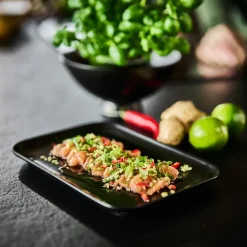 Nemo tallerken rektangel 25x12 cm svart