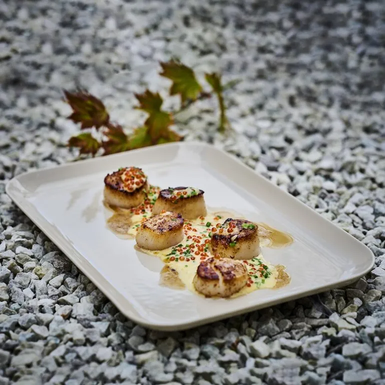 Nemo tallerken 21x29,5 cm sand