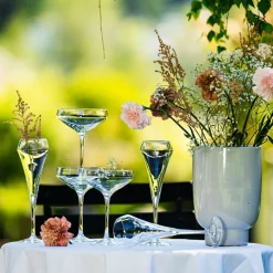 Open Up champagneglass 30 cl 6 stk