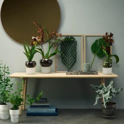 Orkidépotte 15 cm frosted