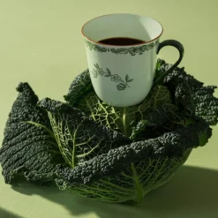 Ostindia krus 30 cl grønn