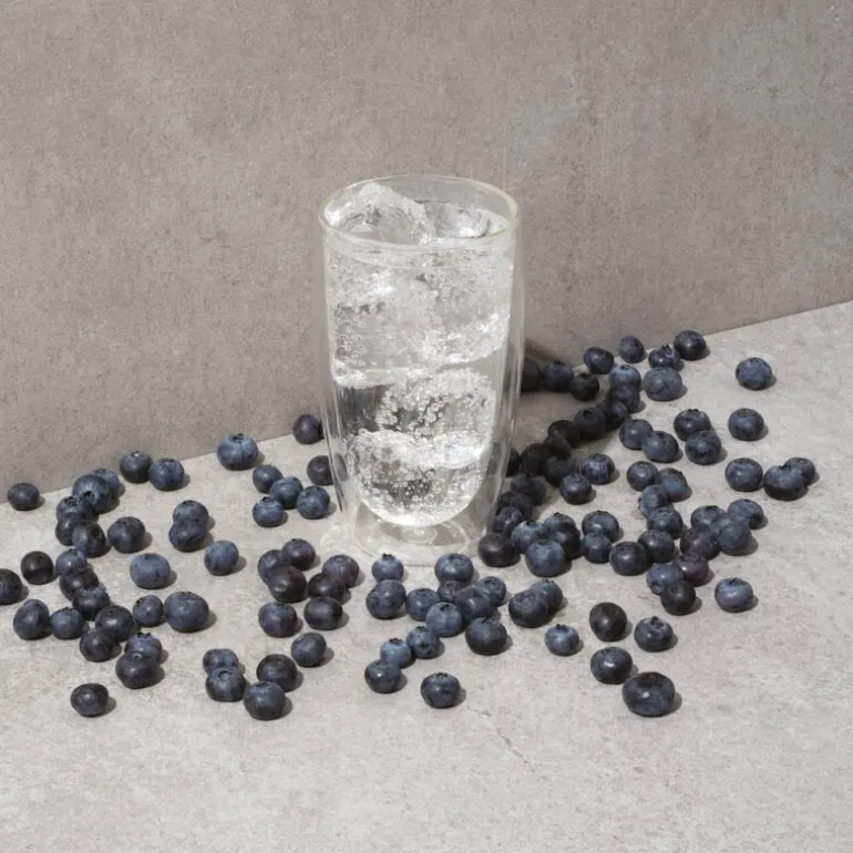 Pavina dobbeltvegget glass 45 cl 6 stk klar