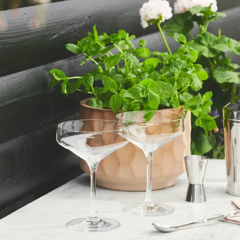 Perfection martiniglass 29 cl